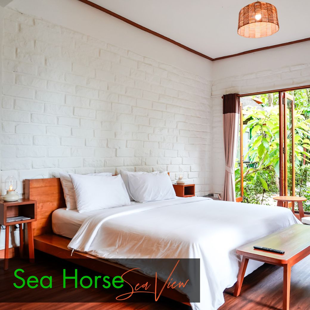 Sea View Room : Anemone Fish | Seahorse (ห้องวิวทะเล)