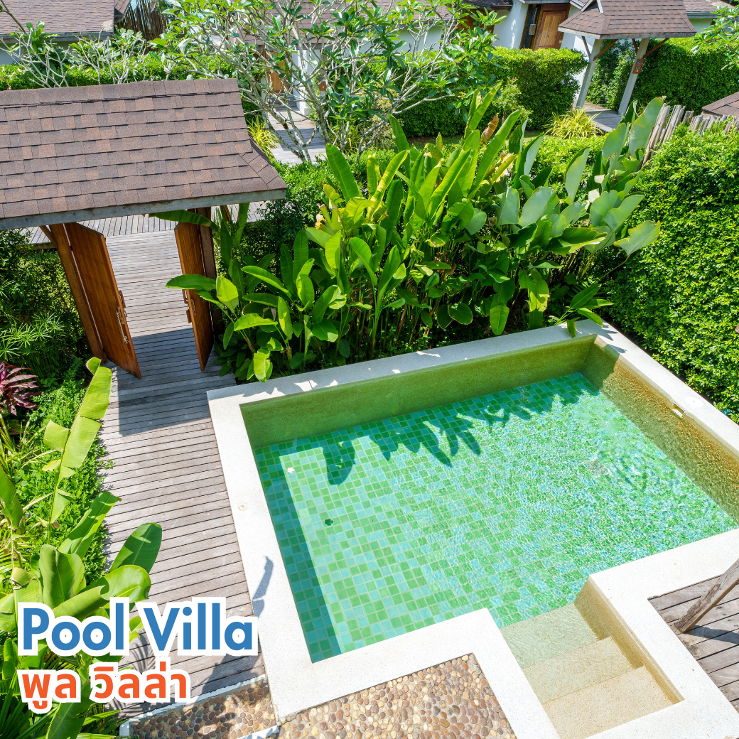 Beach Front Villa (บีช พร้อนท์ วิลล่า) | Pool Villa (พูล วิลล่า) : HALF-Board