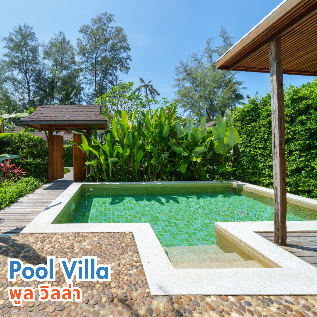Beach Front Villa (บีช พร้อนท์ วิลล่า) | Pool Villa (พูล วิลล่า) : HALF-Board
