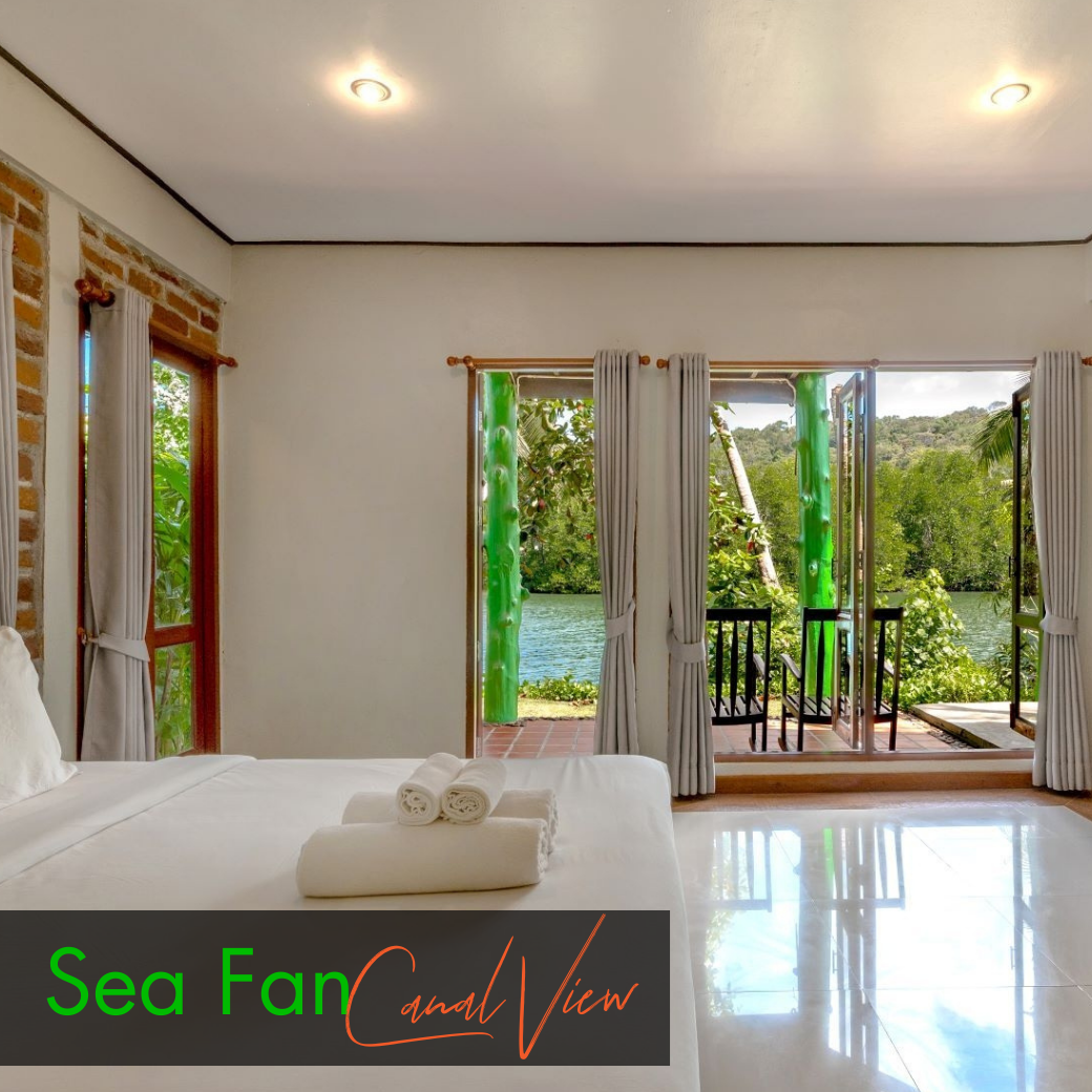 Canal View | Pool View Room : Sea Fan | Star Fish (ห้องวิวคลอง หรือวิวสระ)