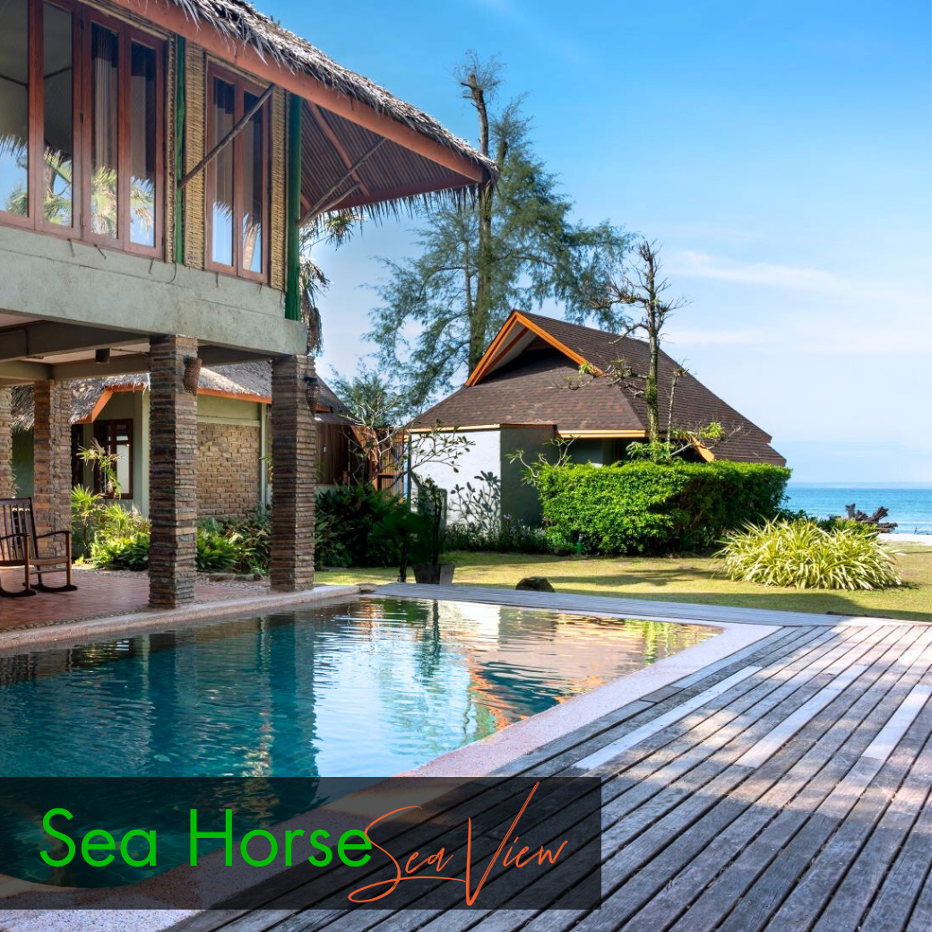 Sea View Room : Anemone Fish | Seahorse (ห้องวิวทะเล)