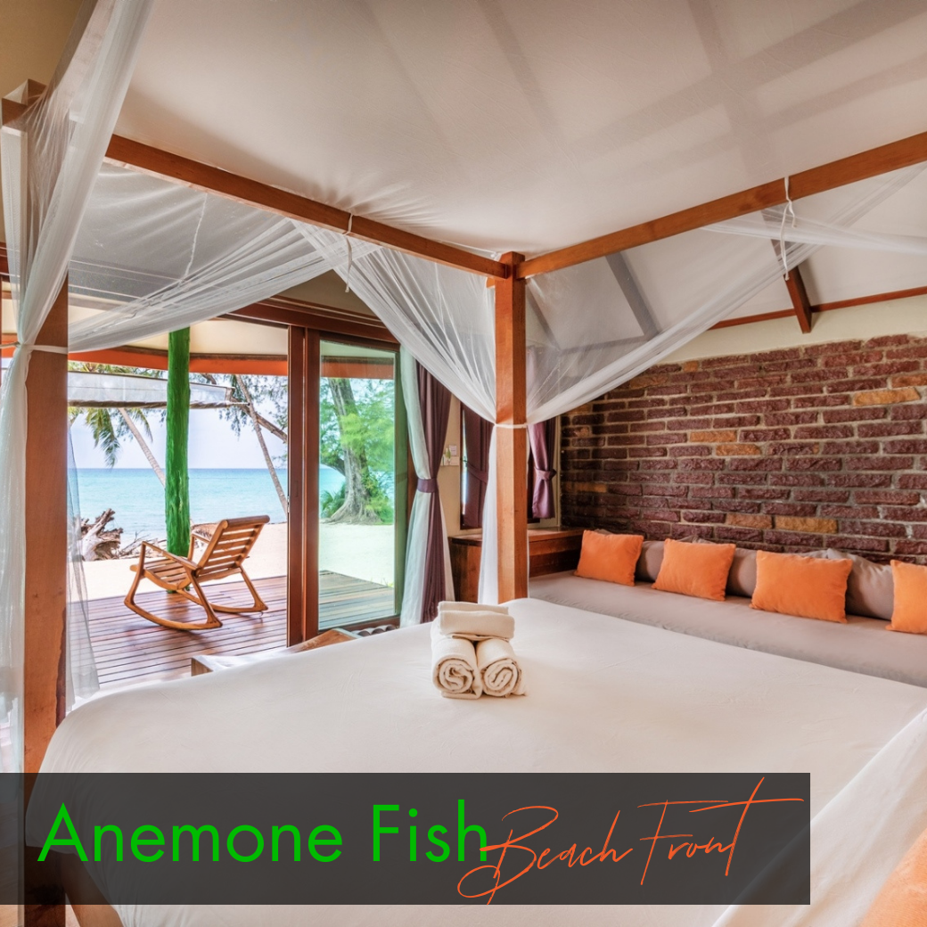 Sea View Room : Anemone Fish | Seahorse (ห้องวิวทะเล)