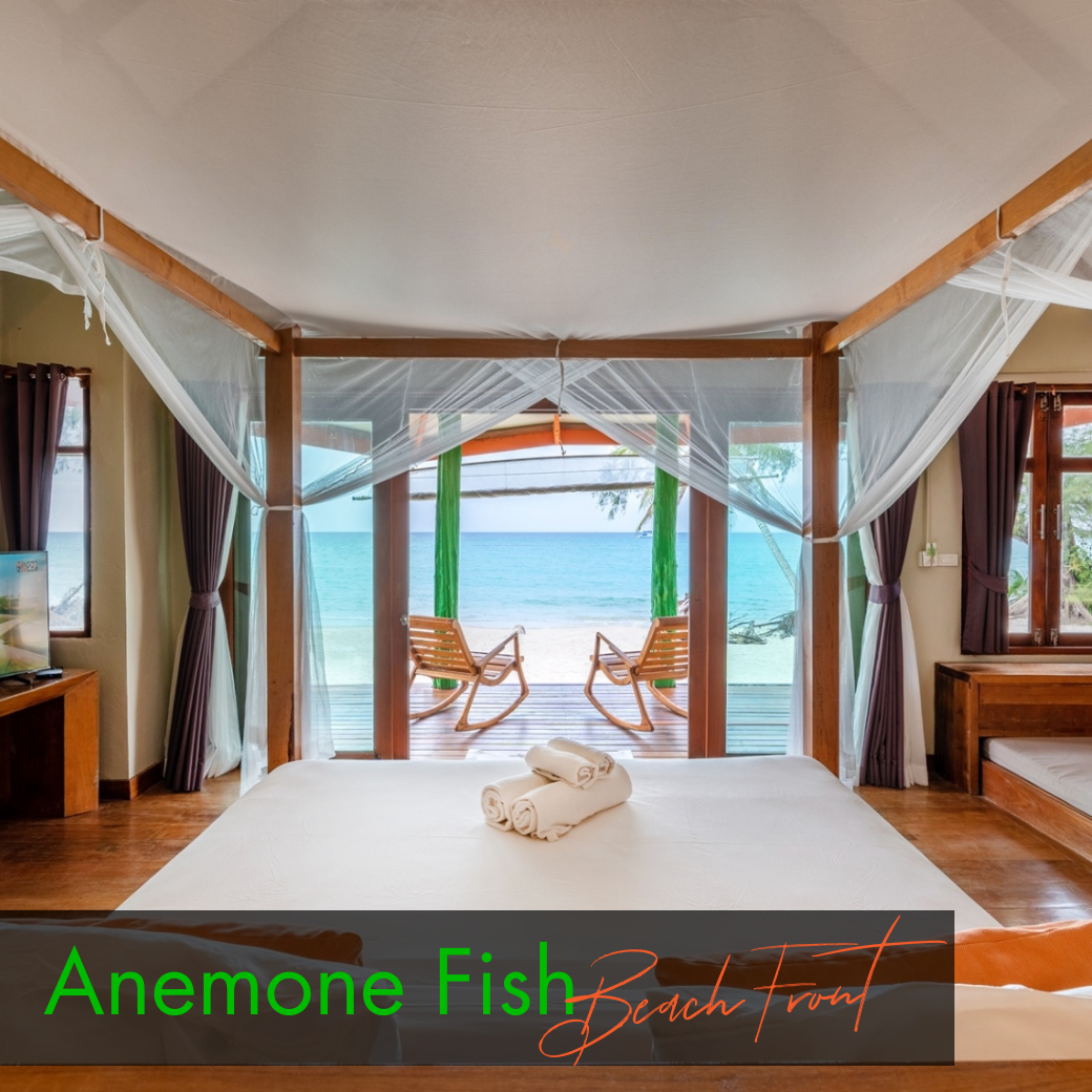 Sea View Room : Anemone Fish | Seahorse (ห้องวิวทะเล)