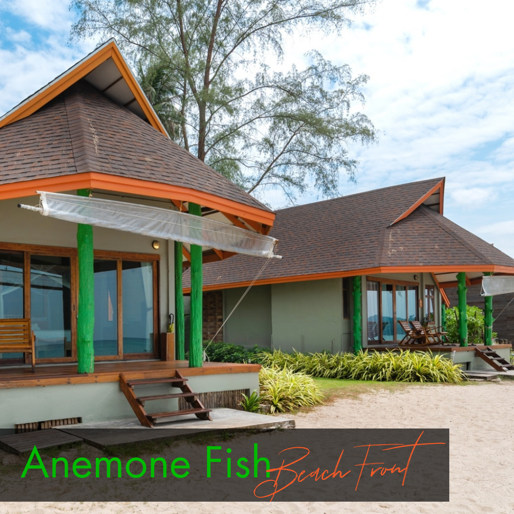 Sea View Room : Anemone Fish | Seahorse (ห้องวิวทะเล)