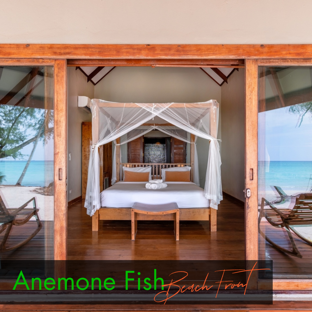 Sea View Room : Anemone Fish | Seahorse (ห้องวิวทะเล)