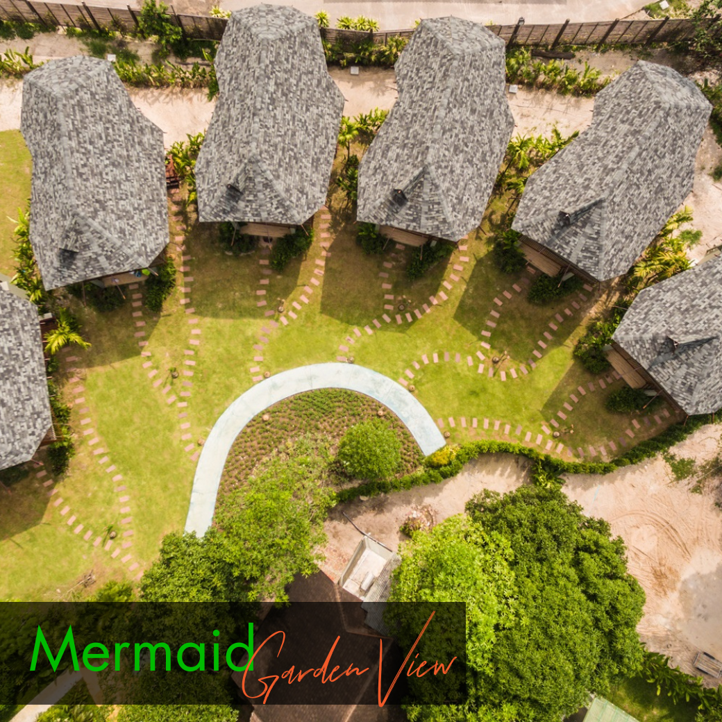Deluxe Room - Mermaid l Coral (ห้องดีลักซ์ วิวสวน) : HALF-Board