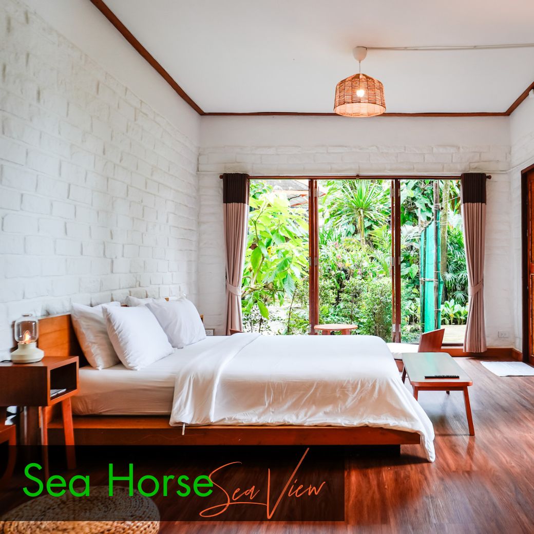 Sea View Room : Anemone Fish | Seahorse (ห้องวิวทะเล)