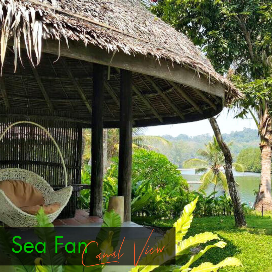 Sea Fan (Canal View) | Star Fish (Pool Vie) ห้องวิวคลอง หรือวิวสระ : HALF-Board