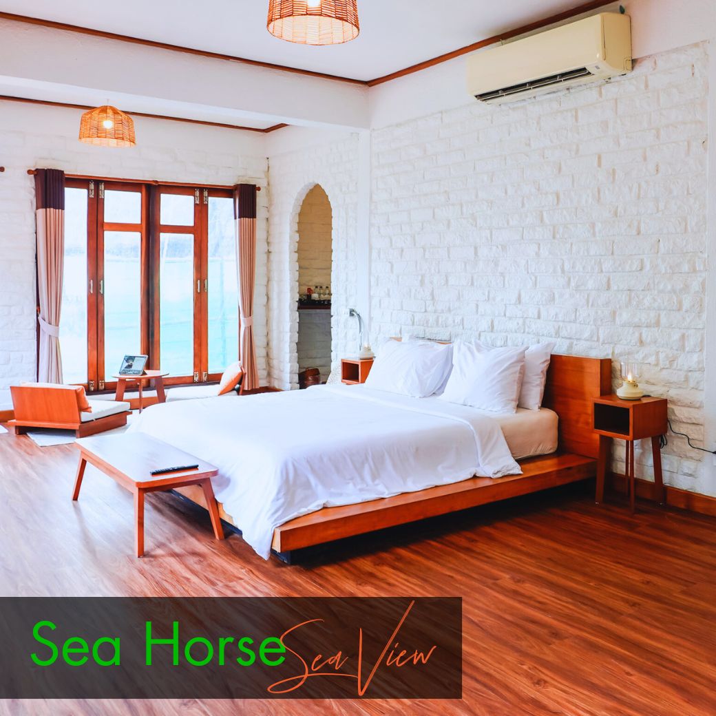 Sea View Room : Anemone Fish | Seahorse (ห้องวิวทะเล)