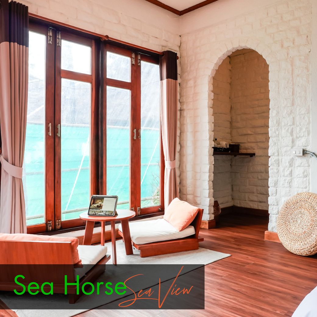 Sea View Room : Anemone Fish | Seahorse (ห้องวิวทะเล)