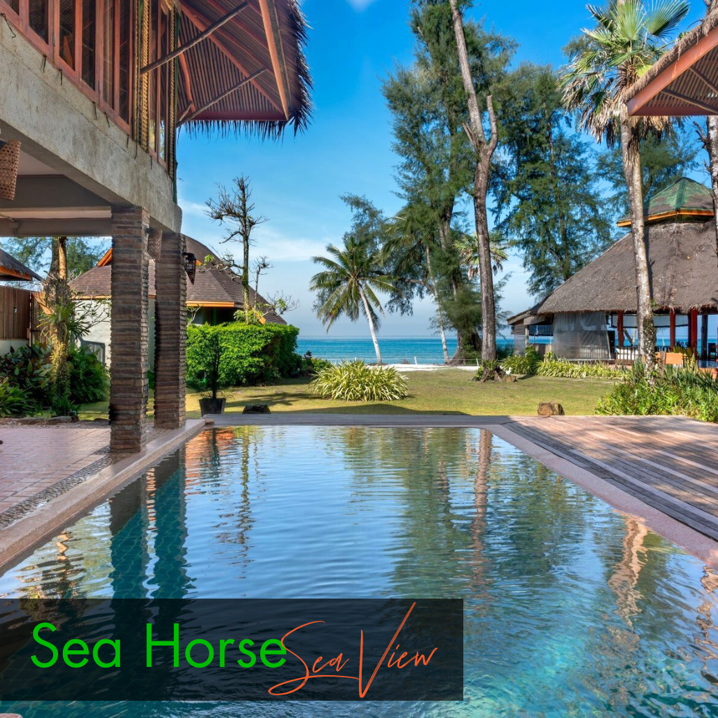 Anemone Fish (Beach Front) | Seahorse (Sea View) บ้านหน้าหาด หรือห้องวิวทะเล : HALF-Board