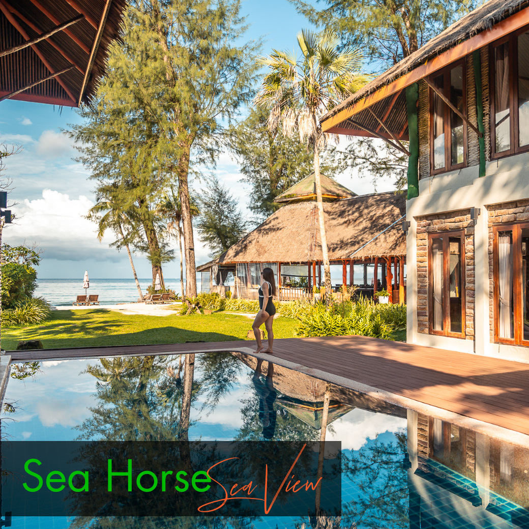 Anemone Fish (Beach Front) | Seahorse (Sea View) บ้านหน้าหาด หรือห้องวิวทะเล : HALF-Board