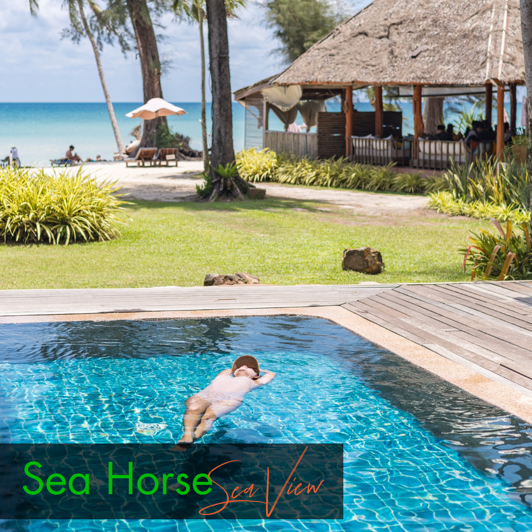 Anemone Fish (Beach Front) | Seahorse (Sea View) บ้านหน้าหาด หรือห้องวิวทะเล : HALF-Board