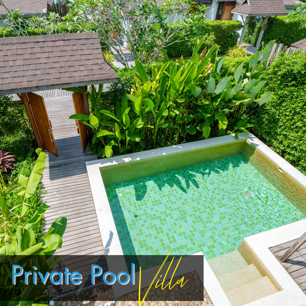 Pool Villa (พูล วิลล่า)  : "BUY 1, GET 1 night FREE!"