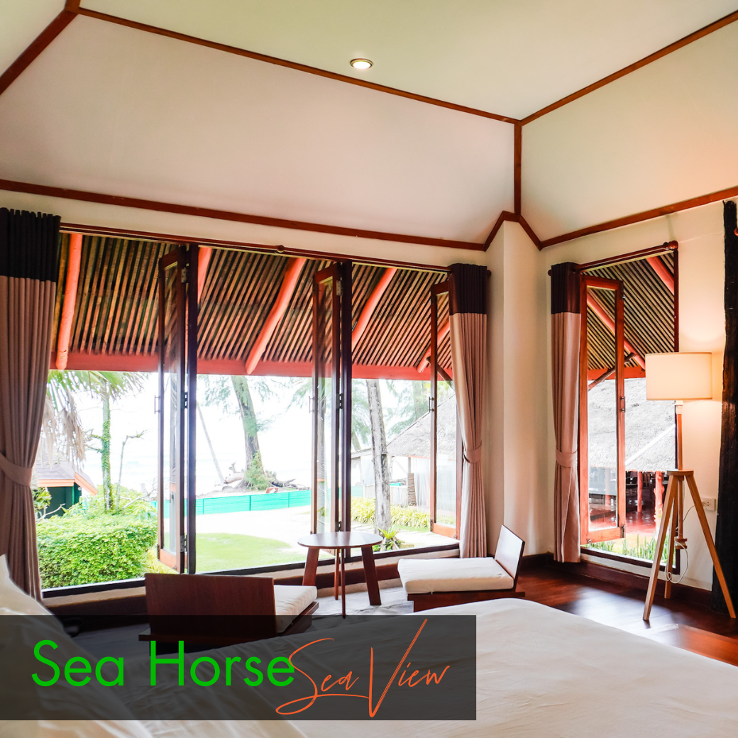 Anemone Fish (Beach Front) | Seahorse (Sea View) บ้านหน้าหาด หรือห้องวิวทะเล : HALF-Board