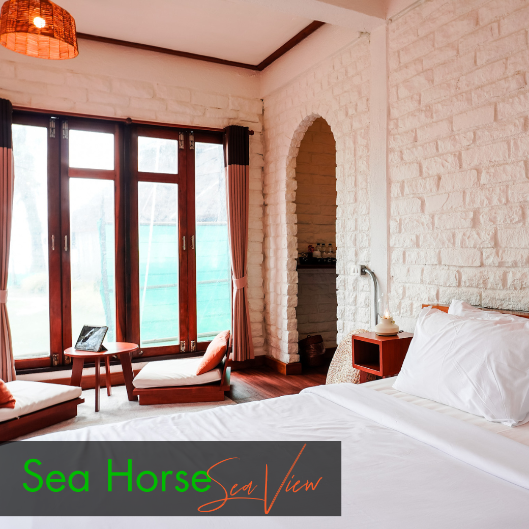 Anemone Fish (Beach Front) | Seahorse (Sea View) บ้านหน้าหาด หรือห้องวิวทะเล : HALF-Board