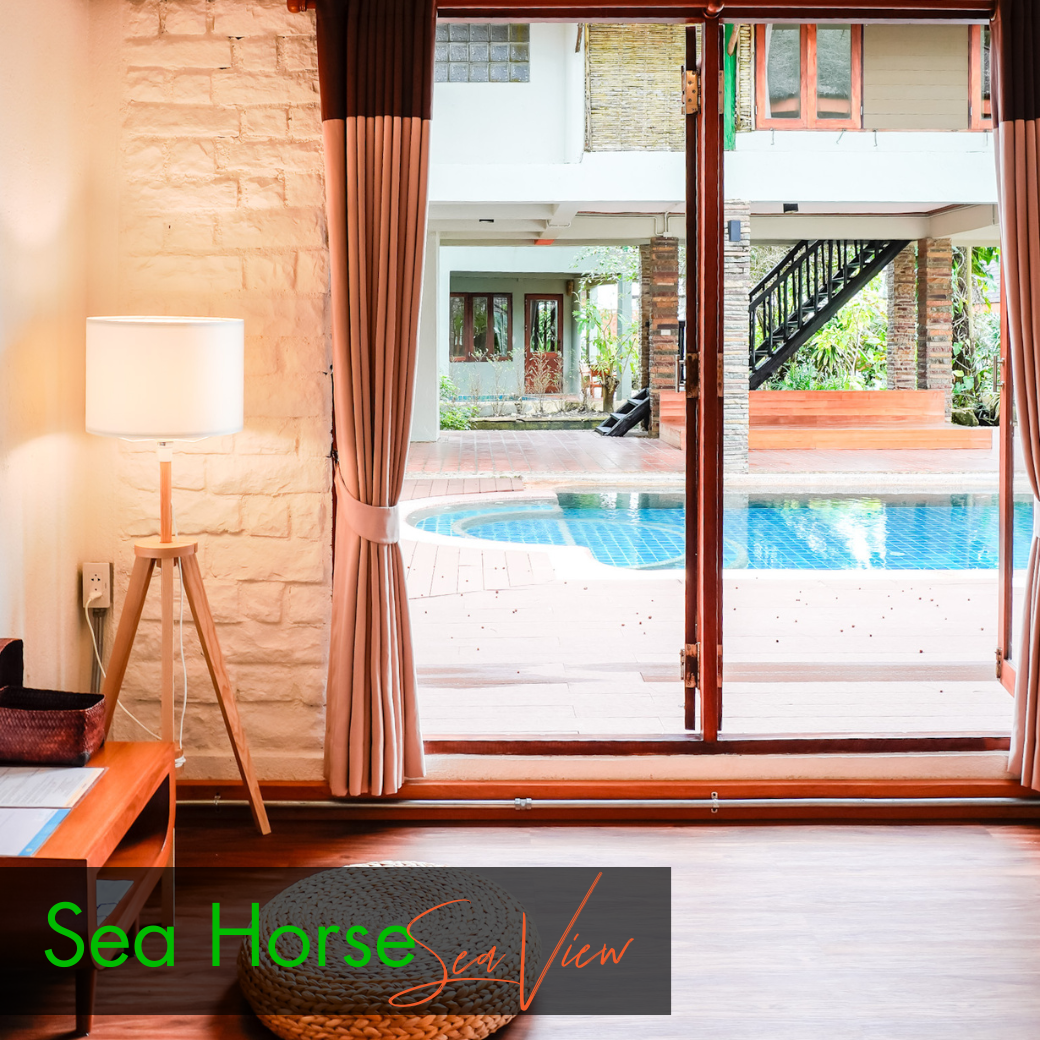 Anemone Fish (Beach Front) | Seahorse (Sea View) บ้านหน้าหาด หรือห้องวิวทะเล : HALF-Board