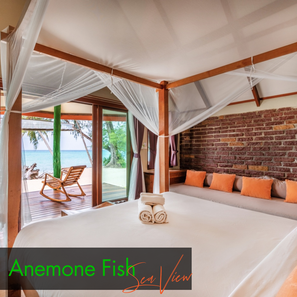 Anemone Fish (Beach Front) | Seahorse (Sea View) บ้านหน้าหาด หรือห้องวิวทะเล : HALF-Board