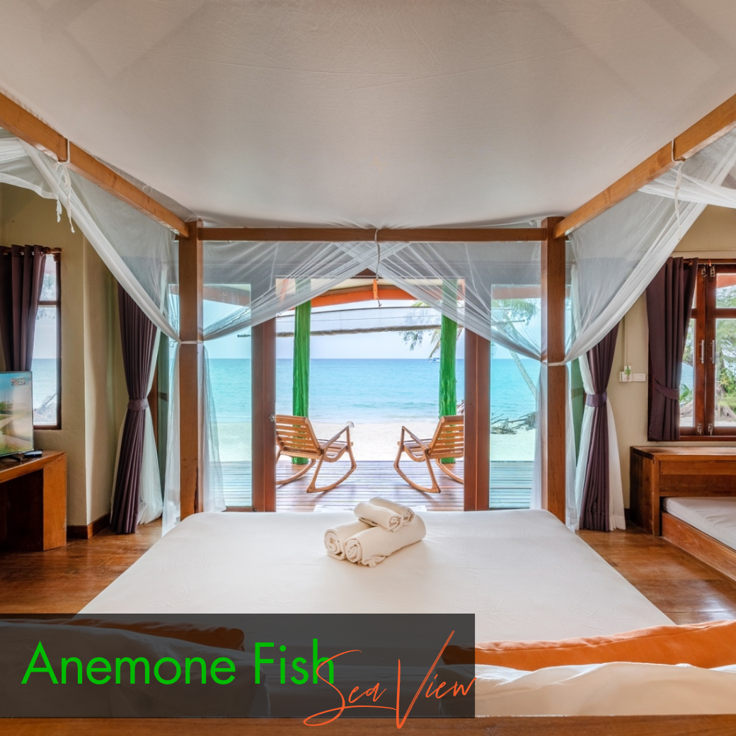 Anemone Fish (Beach Front) | Seahorse (Sea View) บ้านหน้าหาด หรือห้องวิวทะเล : HALF-Board